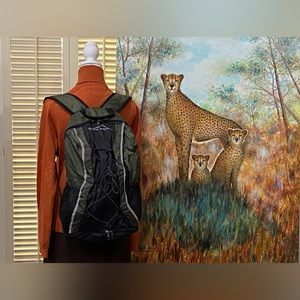 Eddie Bauer olive and gray classic daypack